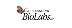 New England Biolabs